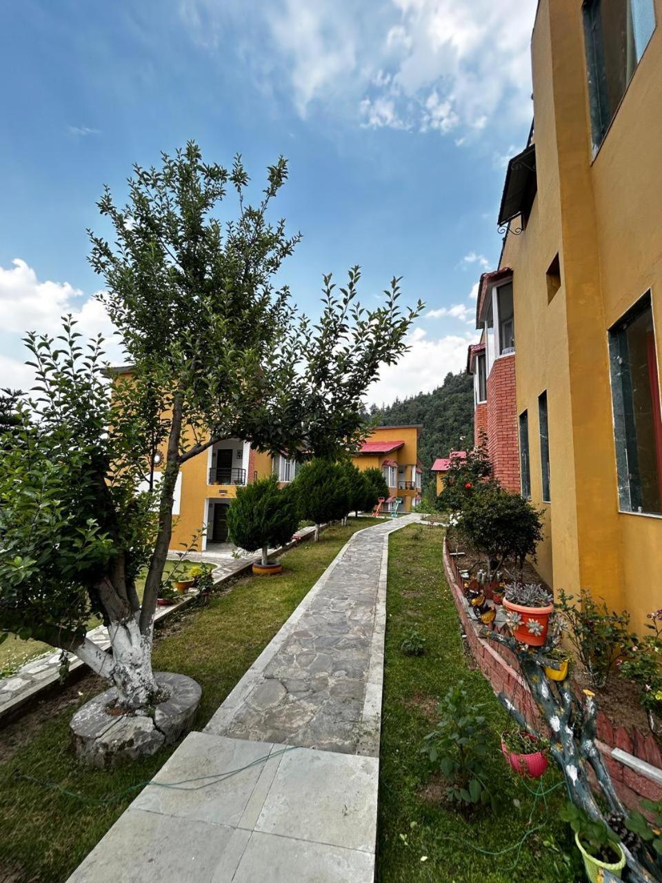 Mist N Meadows Resort Rājgarh Exteriör bild